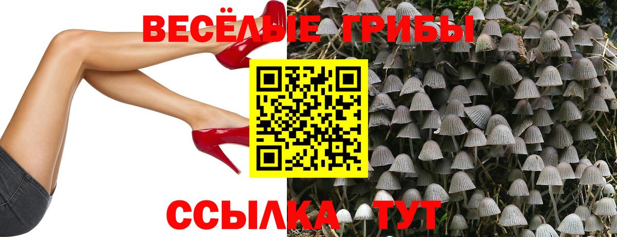 Псилоцибиновые грибы MAGIC MUSHROOMS  цена наркотик  Зеленогорск  Вход с VPN 