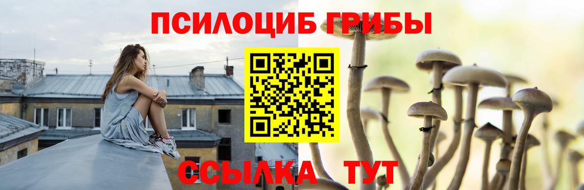 Галлюциногенные грибы GOLDEN TEACHER Зеленогорск